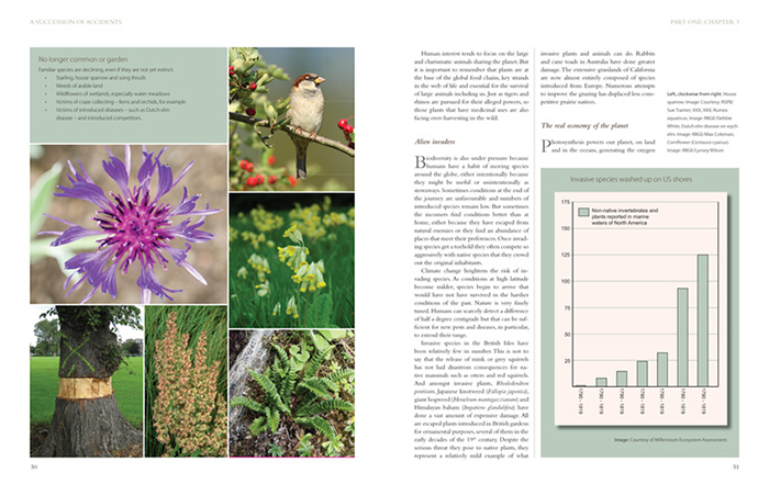 7b. Design for Royal Botanical Gardens Edinburgh